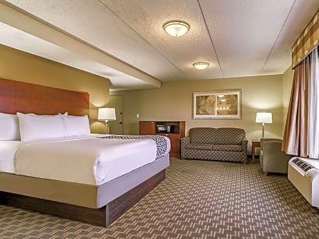 1 King Bed Deluxe Suite Non-Smoking