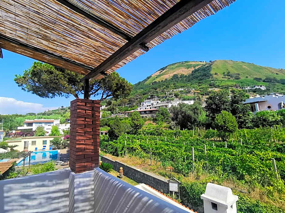 Villa Olivia Residence Ischia - Monolocali e Bilocali nel Verde con Piscine e Vista Mare