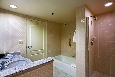 Suite King Bed One Bedroom 