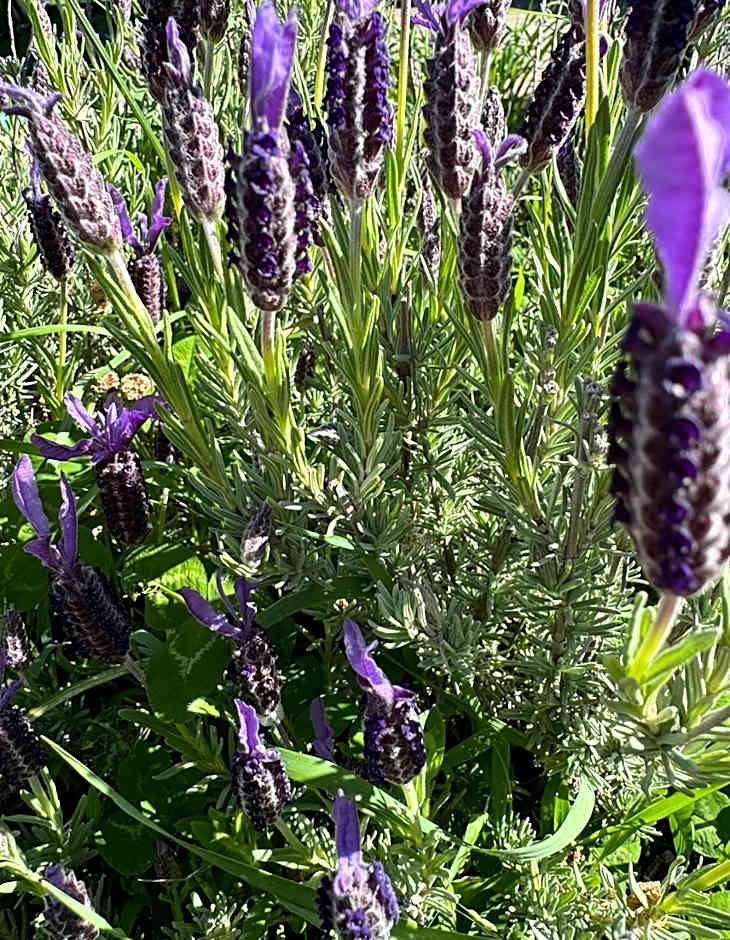 Athol Country Bed & Breakfast