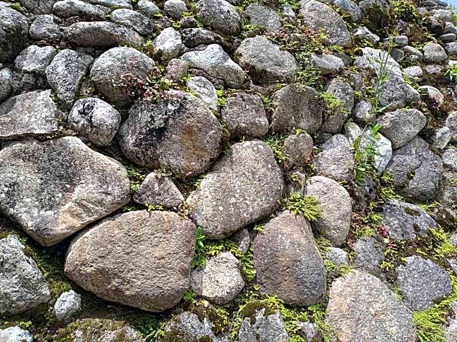 Cameron Highlands Blueberry Earth House
