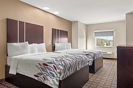 Superior Room with Two Double Beds Non-Smoking