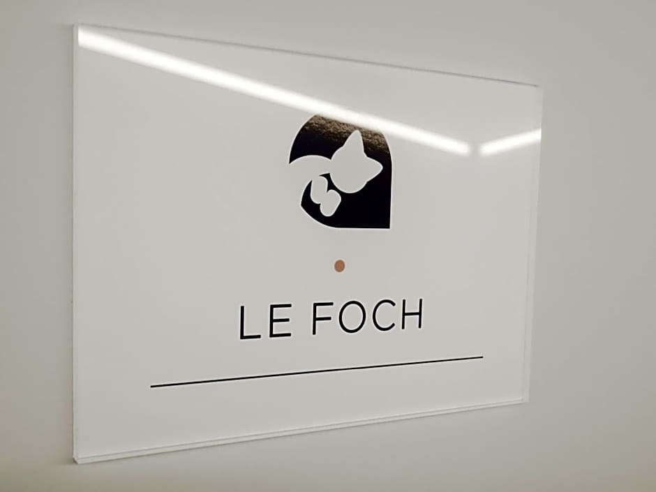 Au Chat Qui Dort Lille - Magasin