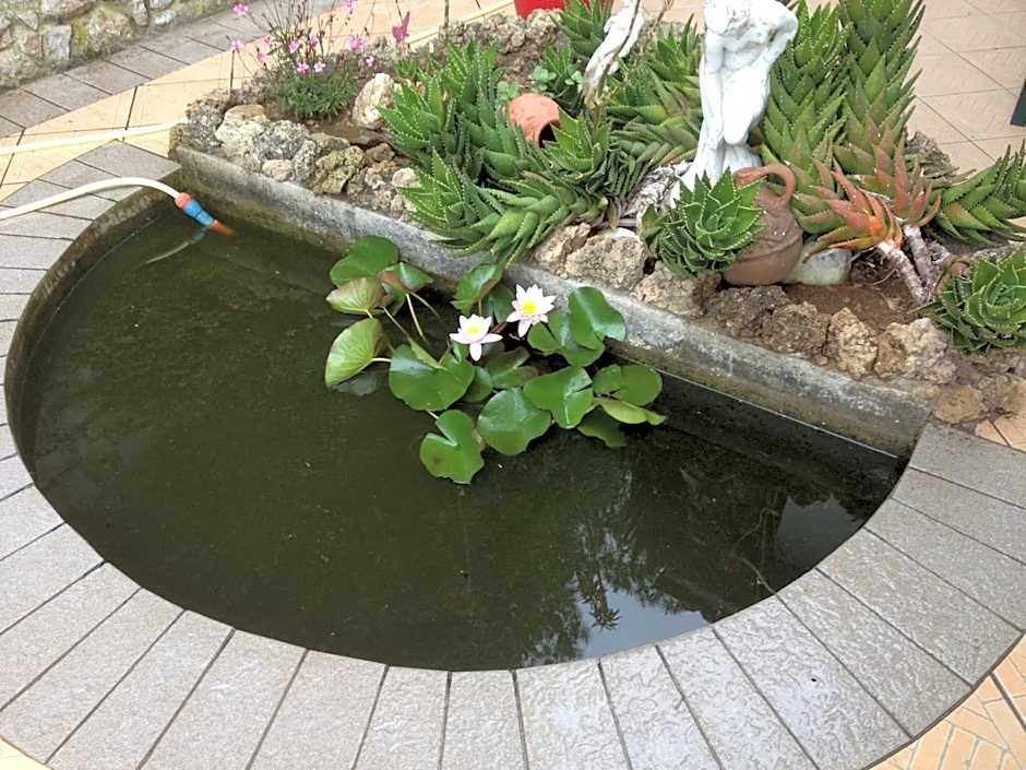 Apartment in villa 2 to 3 persons with large private garden