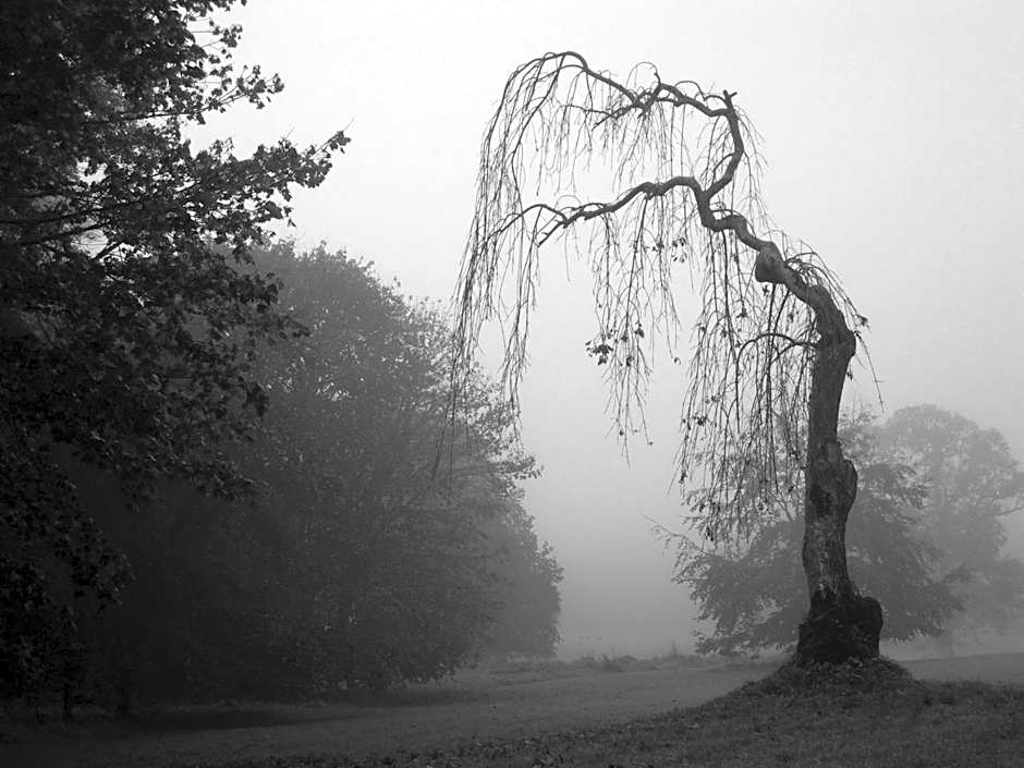 Rosdarrig Bed & Breakfast