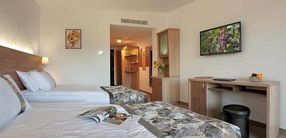 Wine & Spa Complex Starosel