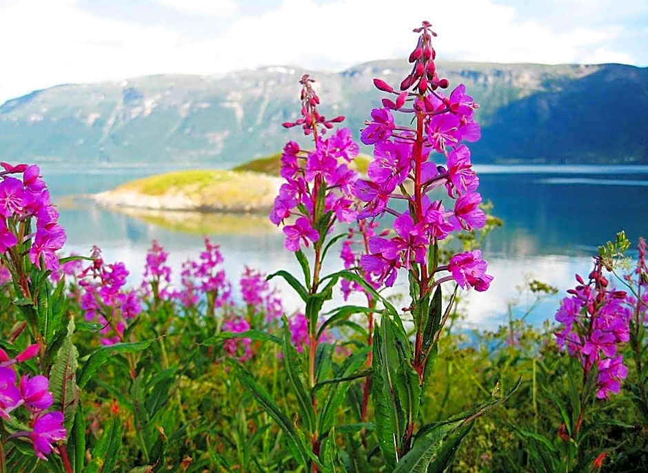 Kirkenes Hotell
