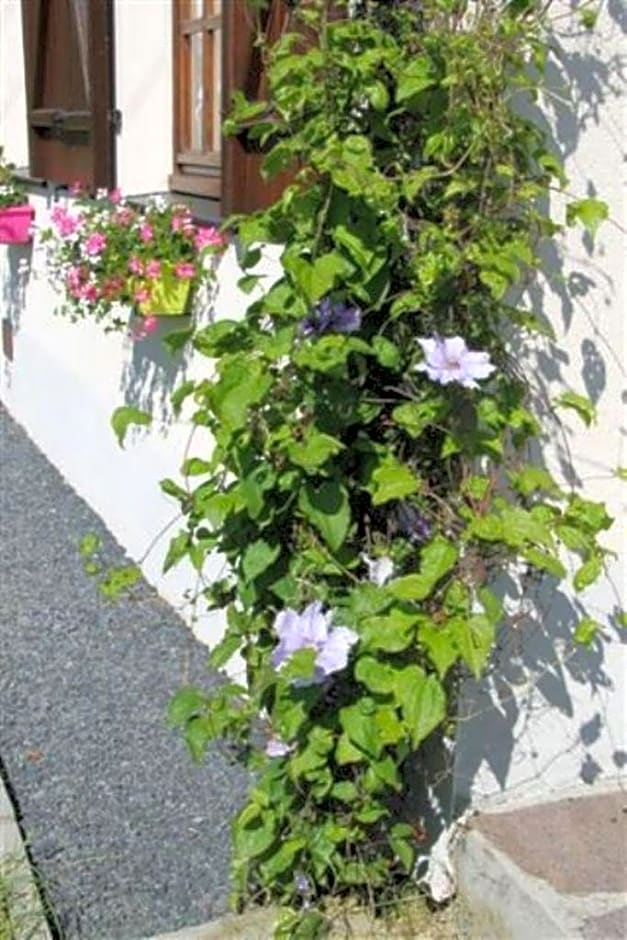 B&B Au fil des saisons sur la Wiels