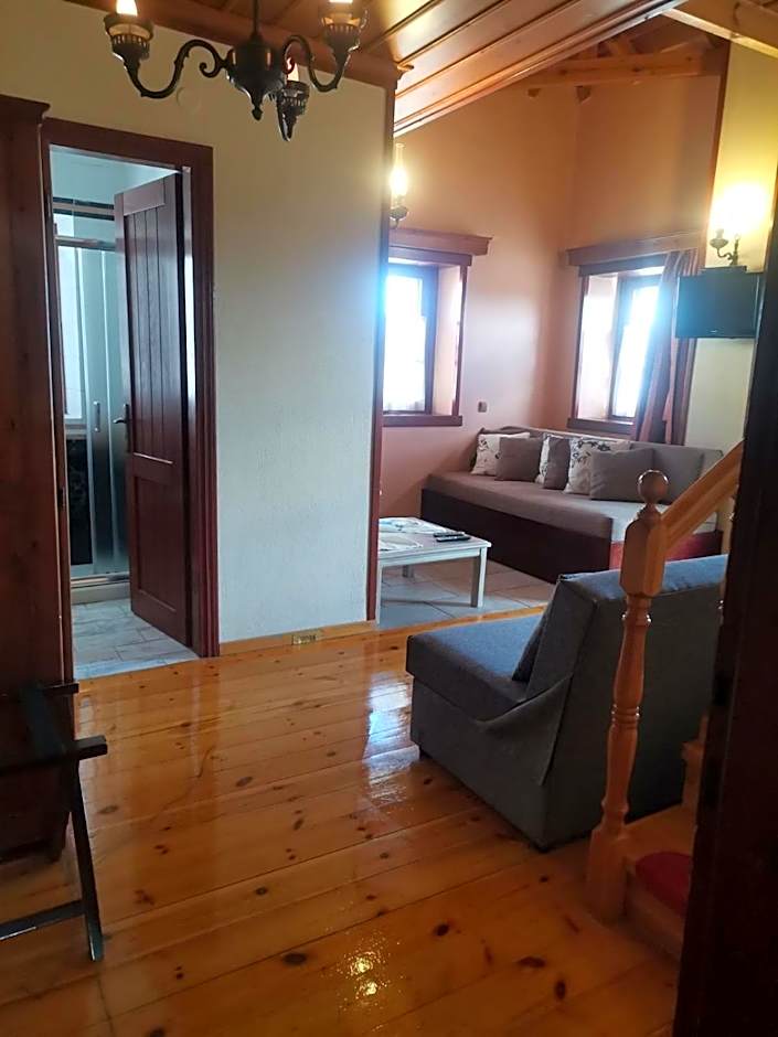 Konstantinou & Elenis