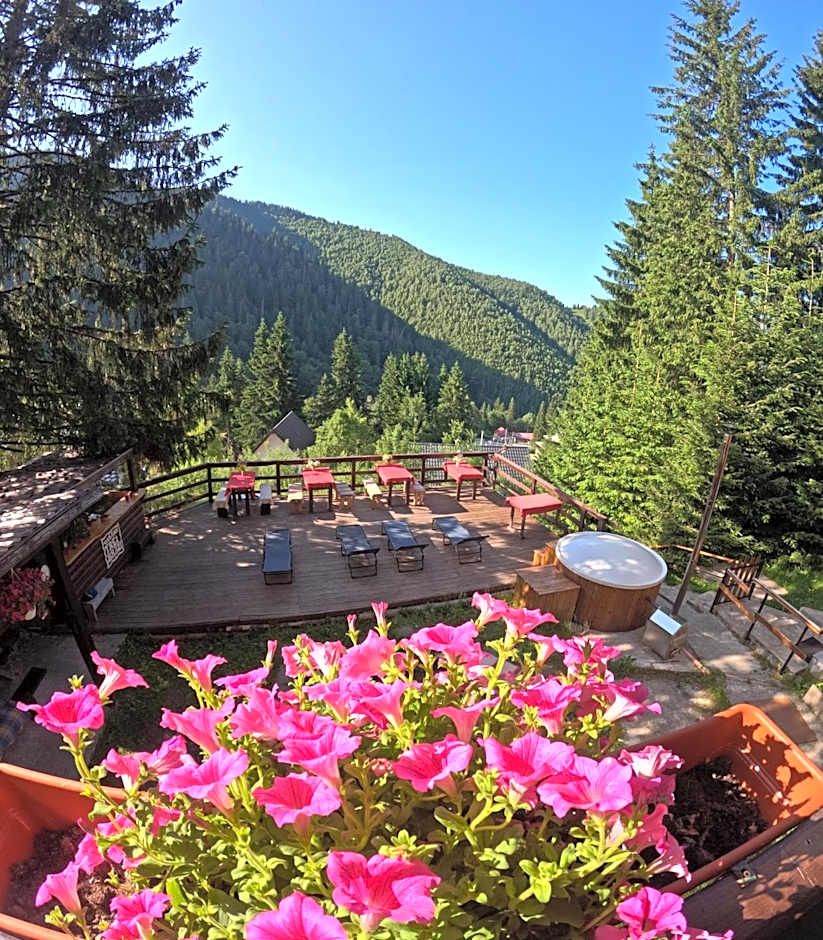 Cabana "Trei Brazi " Retezat