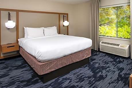 Room, 1 King Bed