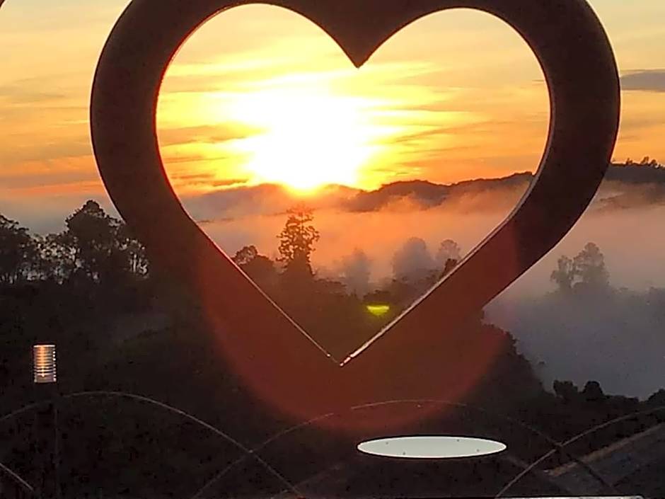 Cameron Highlands Blueberry Earth House