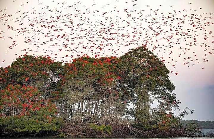 Pousada Cristo Rei-Parnaíba