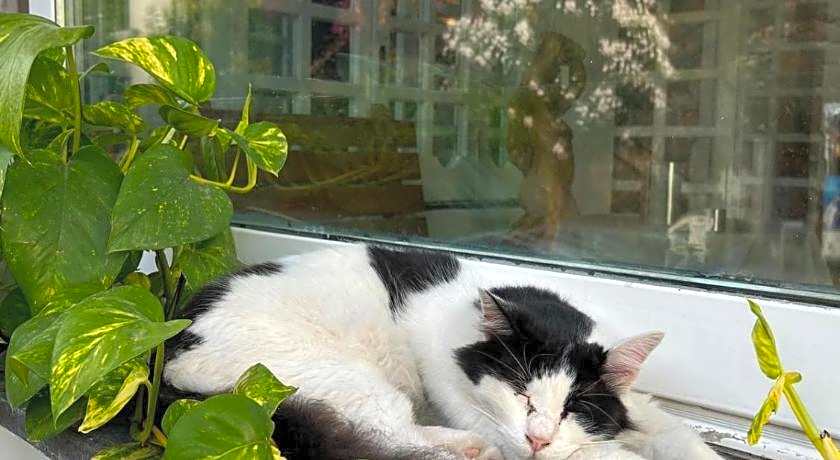 Hotel La Maggioressa