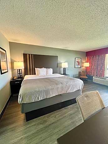 King Room with View - Non-Smoking