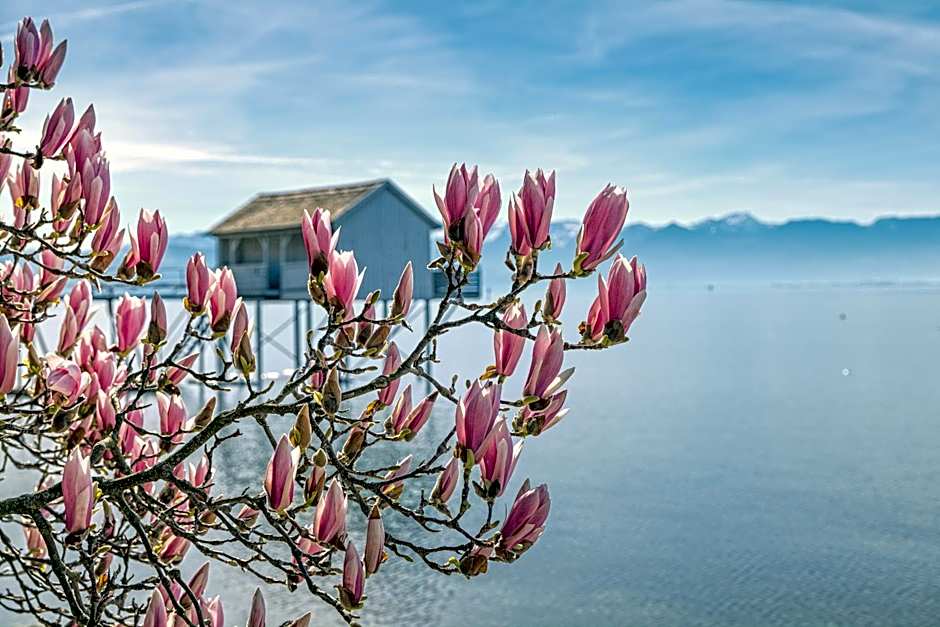 Schloss Hotel Wasserburg