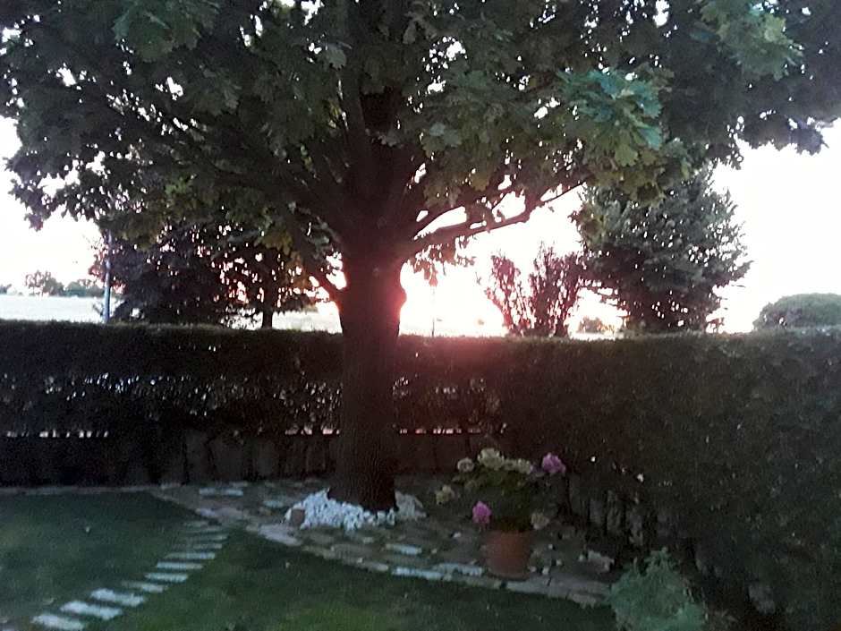 B&B LA ROSA GIALLA
