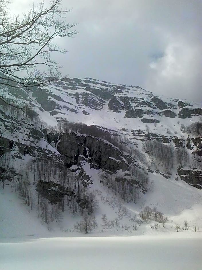 Appartamento il Bosco