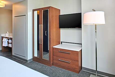 1 Bedroom Suite, 1 King, Sofa bed,  City view (Hearing Accessible)