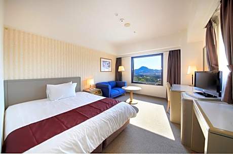 Executive Double Room - Non-Smoking