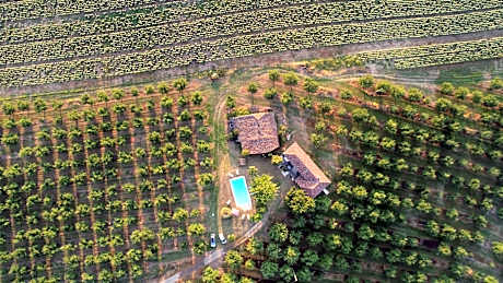 Domaine des pruniers