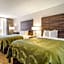 Quality Inn Suwanee I-85