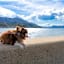 GLAMP VILLAGE SETOUCHI-SHIMANAMI