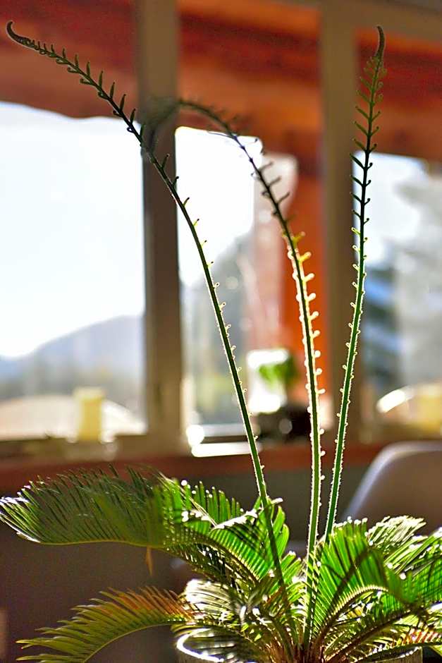 The Rockwell-Harrison Guest Lodge