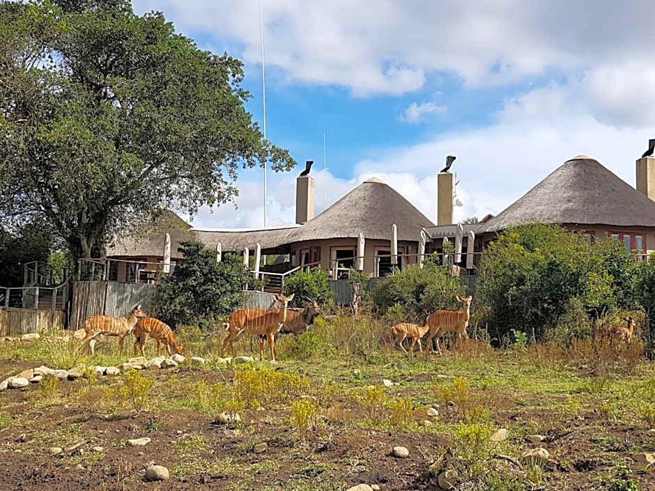 Nambiti Plains Lodge