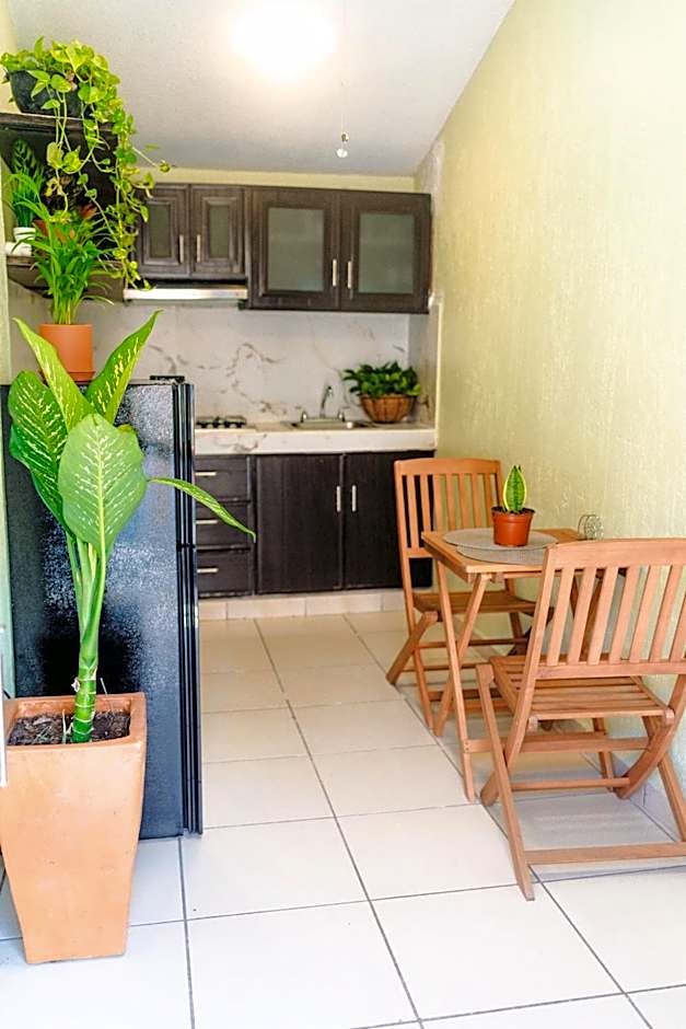 Departamento en Zona Dorada
