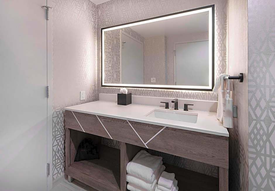 Embassy Suites by Hilton Asheville Downtown