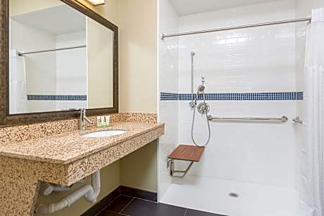 Studio Suite 1 Queen Accessible Roll In Shower Non-Smoking