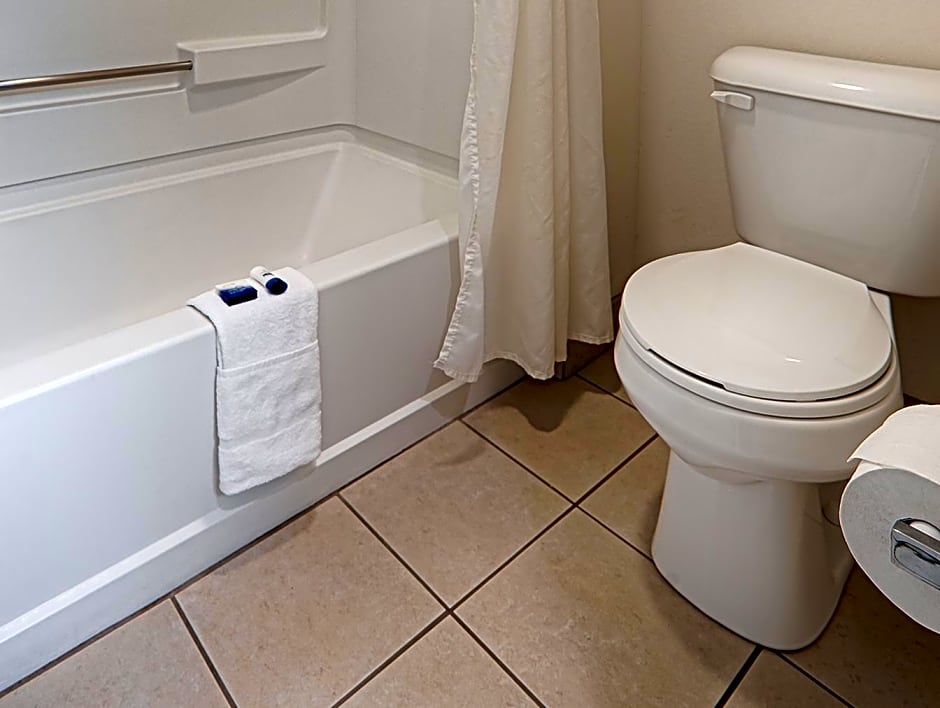 Best Western Mountain View Inn