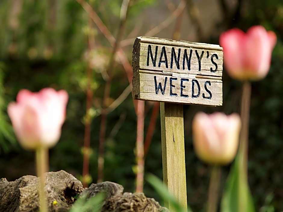 The Queen, A Victorian Bed & Breakfast