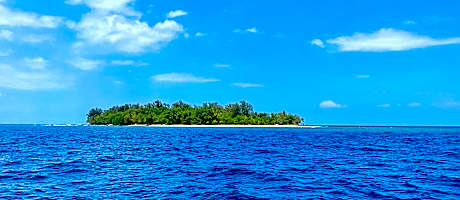 Dany Island