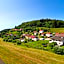Hotel Grüner Baum mit Restaurant & Wellness