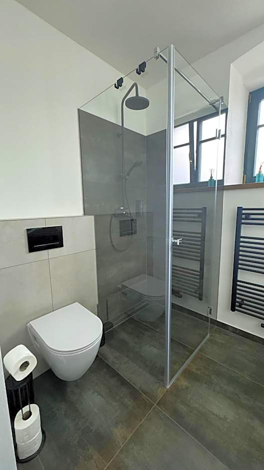 Family Apartments Černice