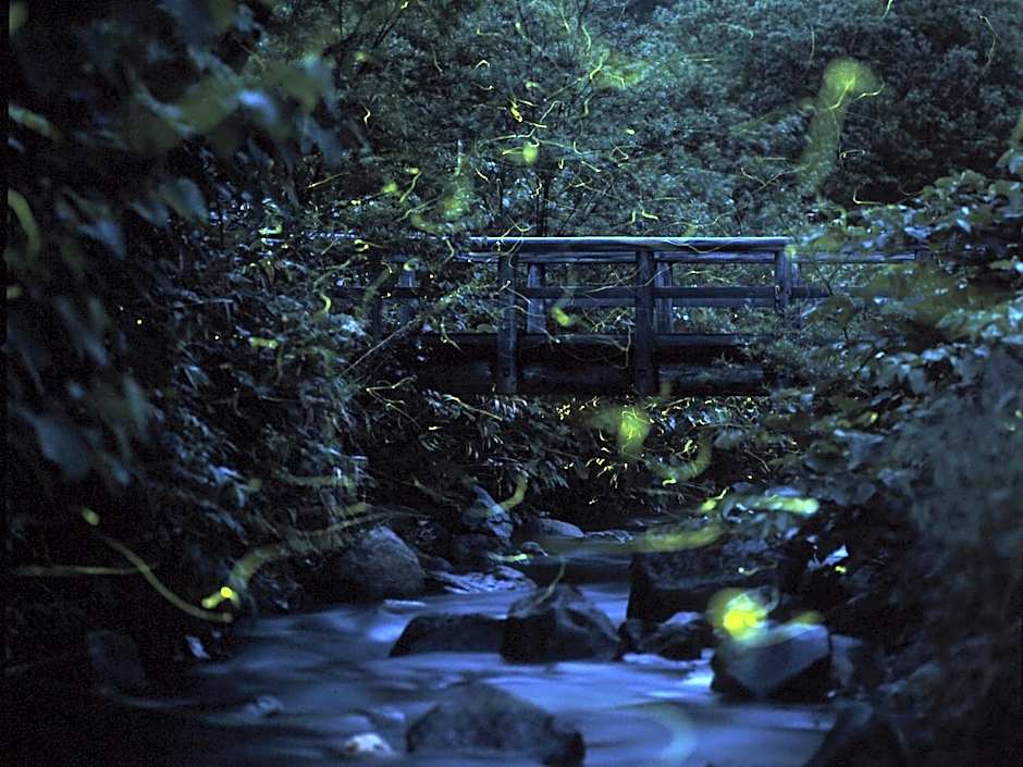Ishinoyu Lodge
