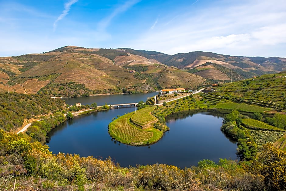 Vila Gale Douro Vineyards