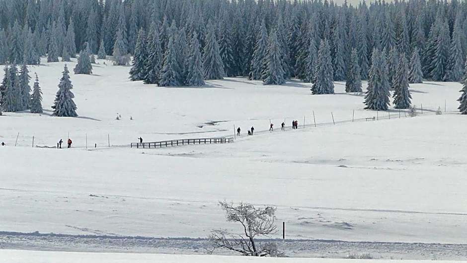 Hotel Bozi Dar - Excalibur