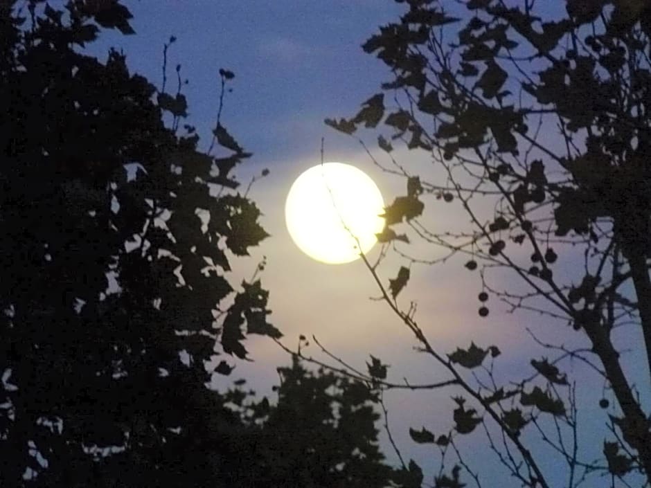 Studio de l'Anse Rouge Tartane