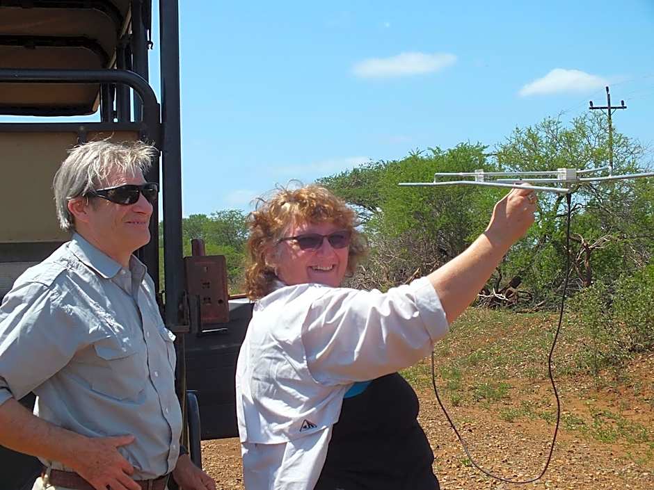 White Elephant Safaris