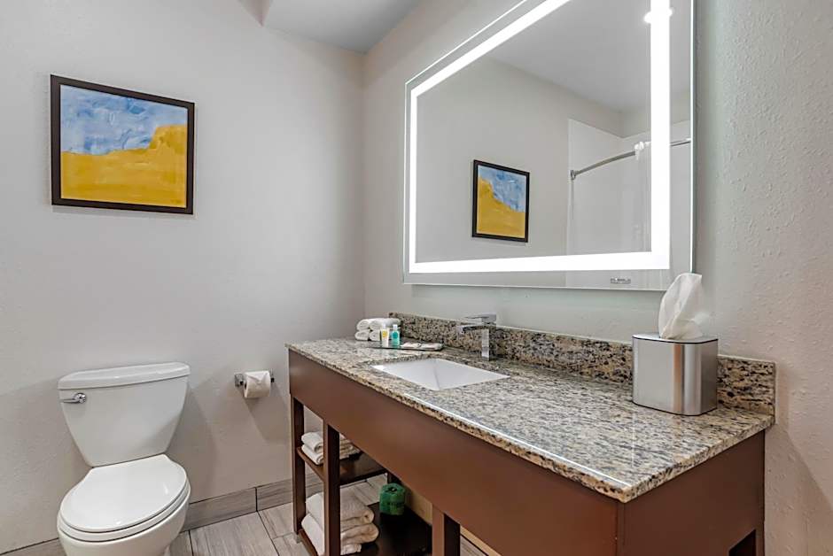 Comfort Suites Hattiesburg near University