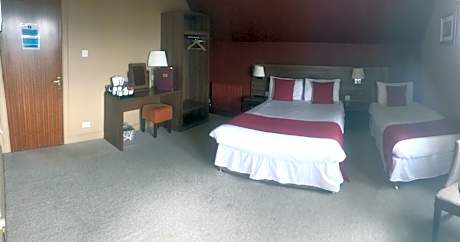 Family Room (3 Adults)