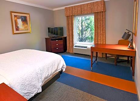 1 King Bed Nonsmoking
