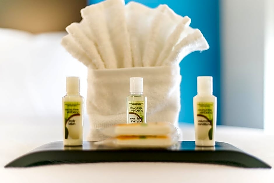 Holiday Inn Hotel & Suites Chattanooga Downtown By IHG