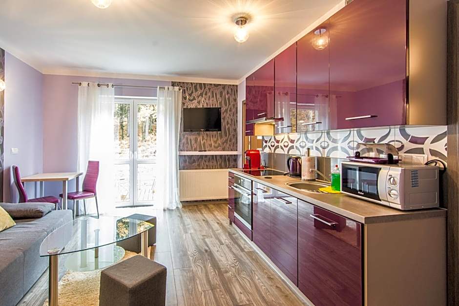 Apartamenty Izerskie - ul. Cicha 13D-E