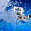 Folia Apartments Chania