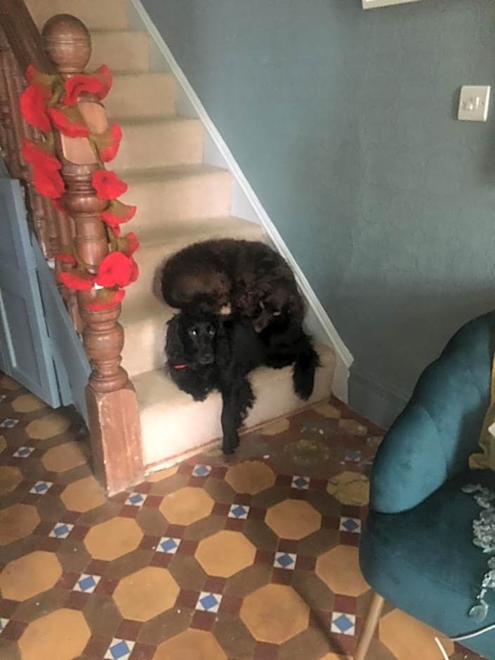 Newberry Beach lodge