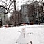 The Clarence Park